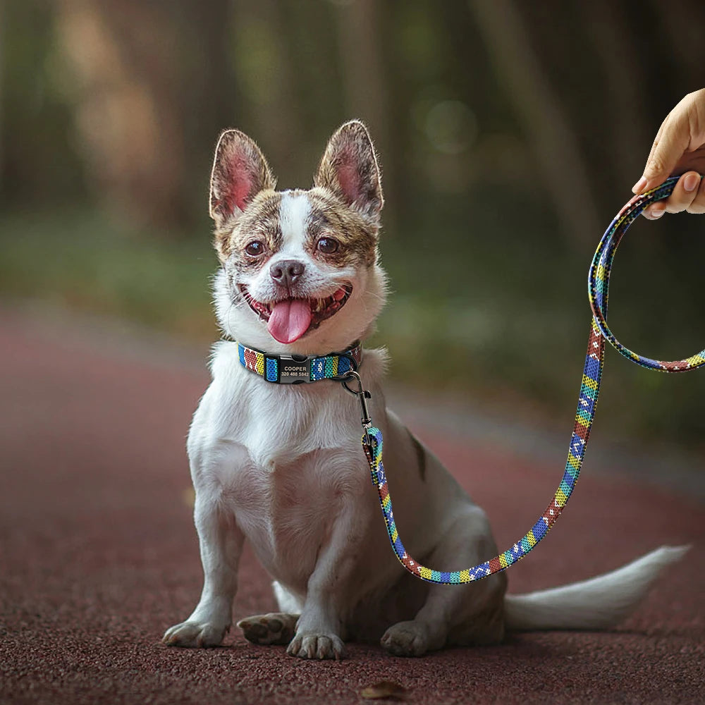 "Custom Nylon Dog Collar with Leash – Personalized ID Tags & Colorful Design"