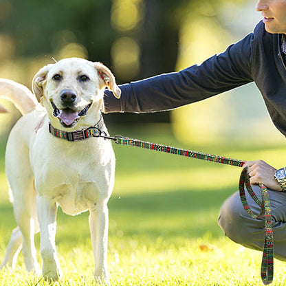 "Custom Nylon Dog Collar with Leash – Personalized ID Tags & Colorful Design"