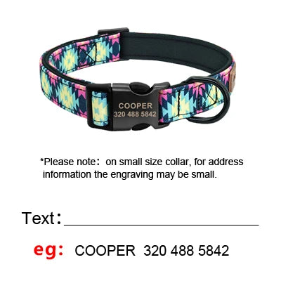 "Custom Nylon Dog Collar with Leash – Personalized ID Tags & Colorful Design"