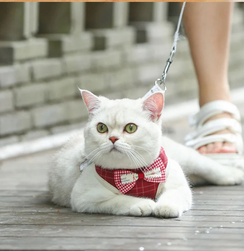 "Bowknot Cat Harness and Leash Set-Adjustable Vest with Cute Bow Design for Cats & Small Dogs"