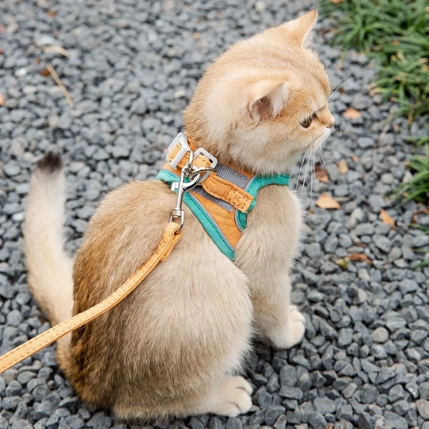 "Escape-Proof Adjustable Cat Harness and Leash Set – Reflective Soft Mesh Vest for Cats, Kittens, Small Dogs & Rabbits"