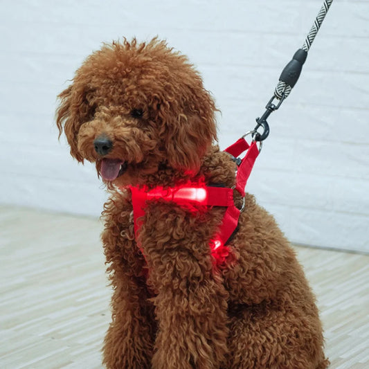 "LED Pet Vest Harness Set - Trendy, Flashing Lights & Vibrant Colors for Safe, Stylish Walks"