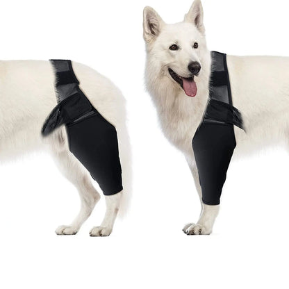 "Breathable Pet Knee Pads & Elbow Brace - Injury Support & Protection"