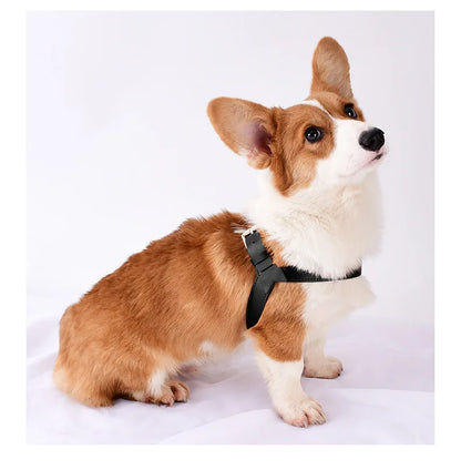 "Y-Shaped Leather Pet Harness with Leash Set – Lightweight No-Pull Vest for Cats & Small Dogs"