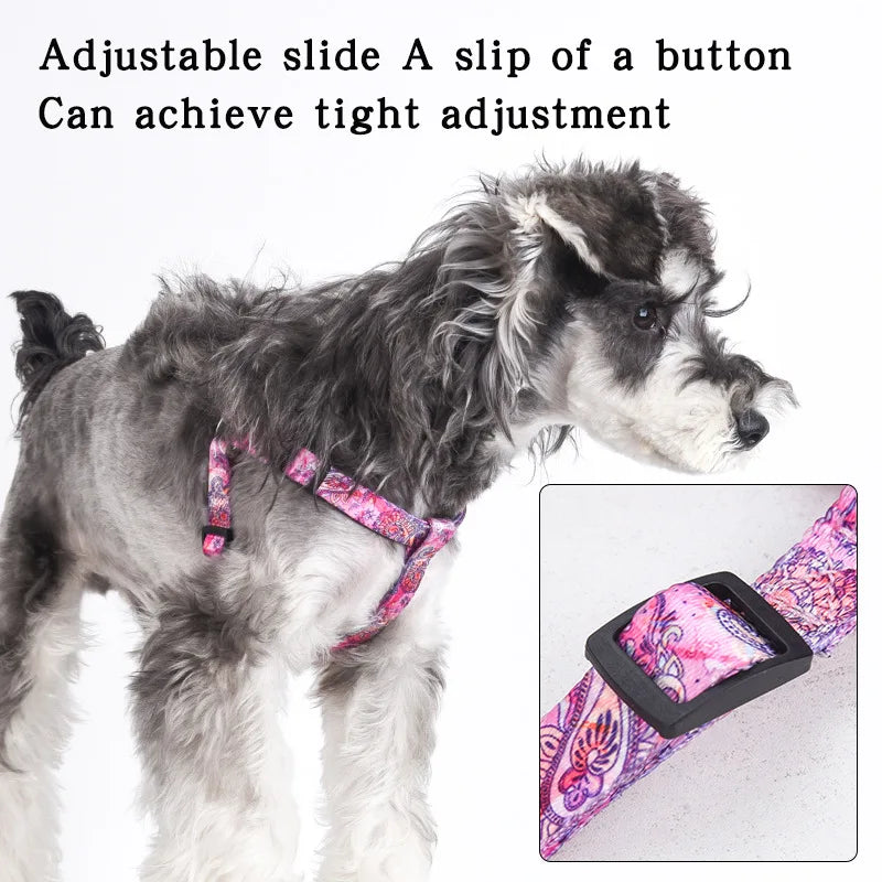 "Printed Polyester Dog Leash and Chest Harness Set - Adjustable Pet Supplies for Small Dogs and Cats"