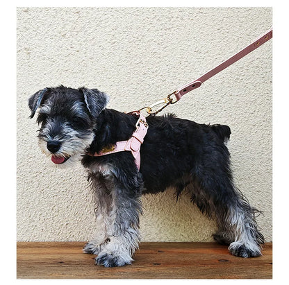 "Y-Shaped Leather Pet Harness with Leash Set – Lightweight No-Pull Vest for Cats & Small Dogs"