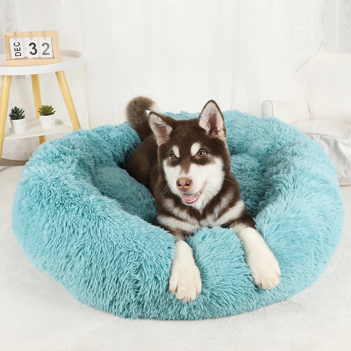 "Large Donut Plush Dog Bed – Fluffy, Washable Pet Basket for Small to Large Dogs & Cats"