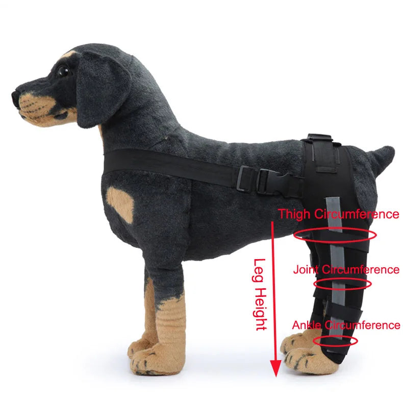 "Reflective Pet Knee Pad Harness - Breathable Joint Wrap for Injury Recovery"