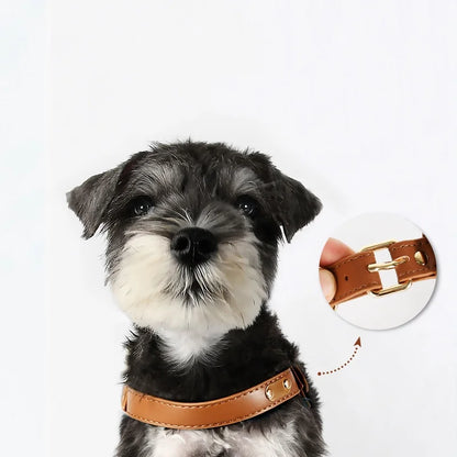 "Y-Shaped Leather Pet Harness with Leash Set – Lightweight No-Pull Vest for Cats & Small Dogs"