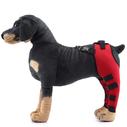 "Reflective Pet Knee Pad Harness - Breathable Joint Wrap for Injury Recovery"