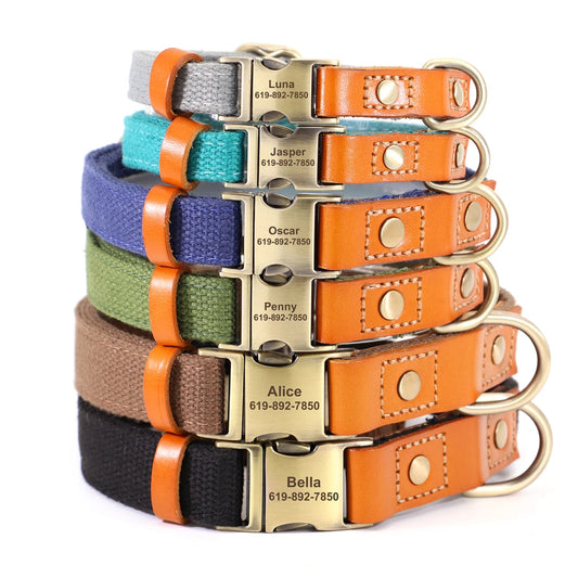 "Personalized Nylon & Leather Dog Collar & Leash Set – Custom Nameplate ID Tag, Stylish Colors"