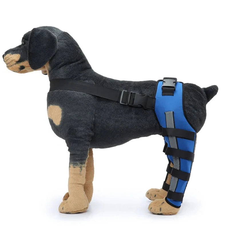 "Reflective Pet Knee Pad Harness - Breathable Joint Wrap for Injury Recovery"