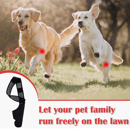 "Breathable Pet Knee Pads & Elbow Brace - Injury Support & Protection"