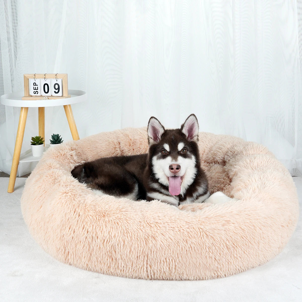 "Large Donut Plush Dog Bed – Fluffy, Washable Pet Basket for Small to Large Dogs & Cats"