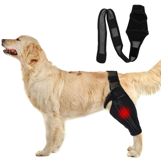 "Breathable Pet Knee Pads & Elbow Brace - Injury Support & Protection"