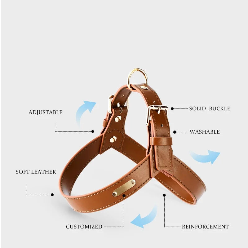 "Y-Shaped Leather Pet Harness with Leash Set – Lightweight No-Pull Vest for Cats & Small Dogs"