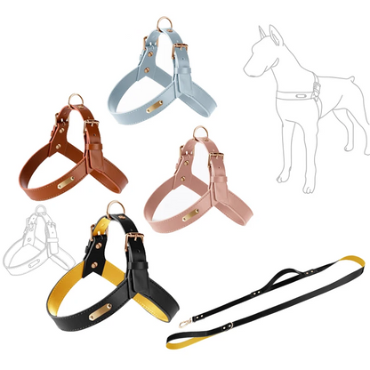 "Y-Shaped Leather Pet Harness with Leash Set – Lightweight No-Pull Vest for Cats & Small Dogs"